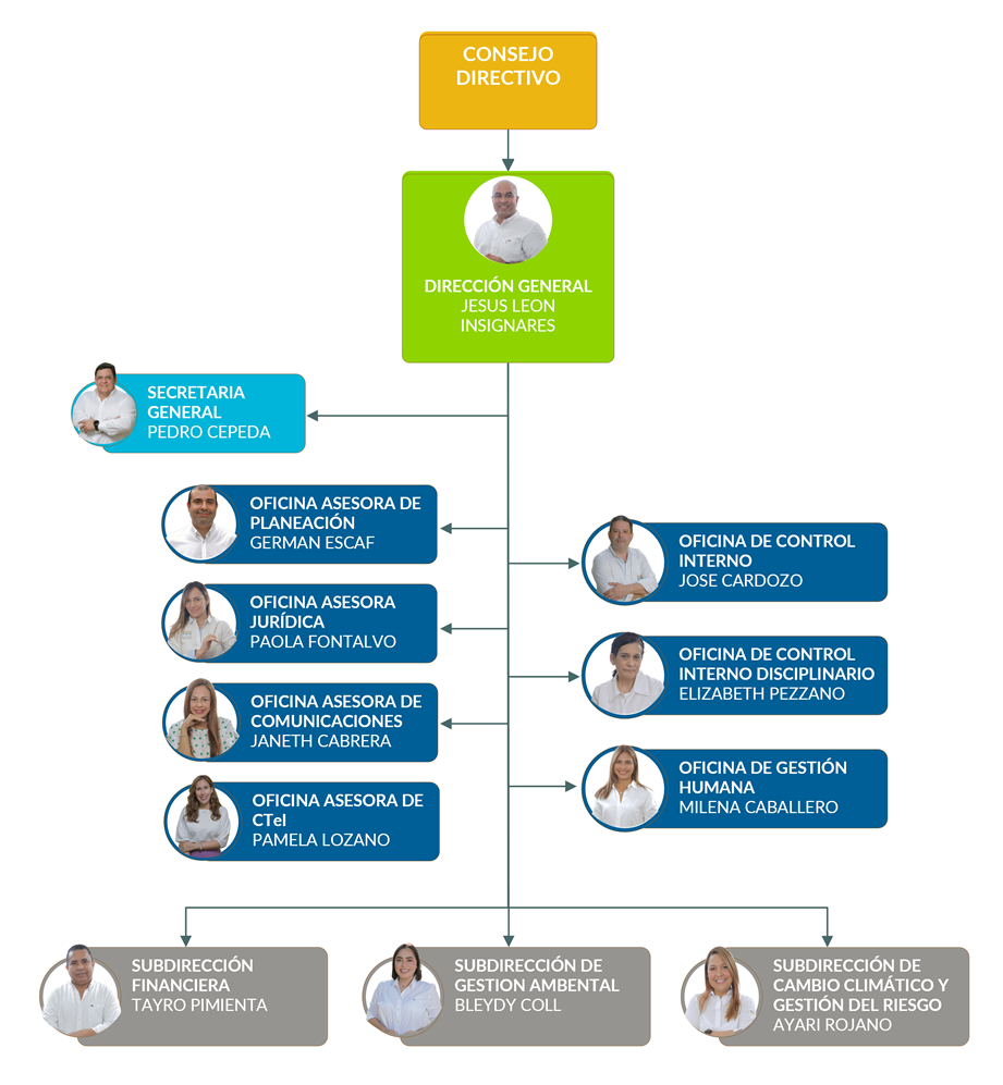 Organigrama